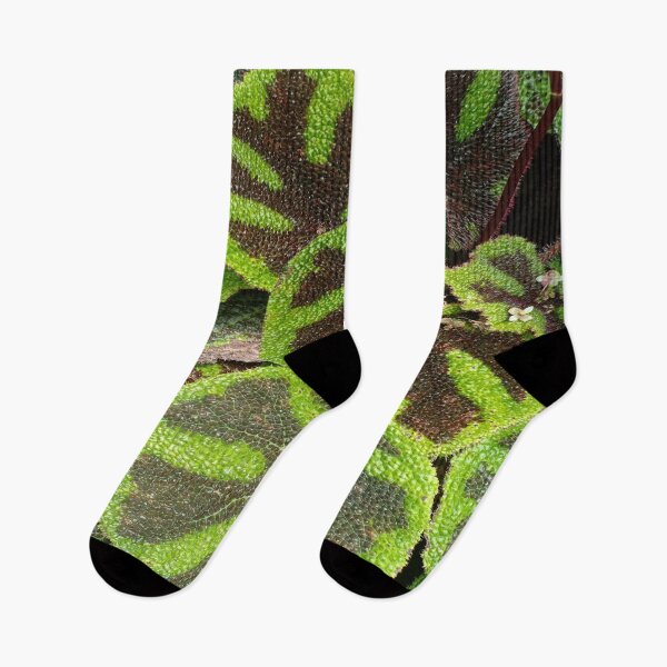 Item preview, Giant Leaves With Green And Black Color Photography designed and sold by YueHeng Creates ⭐⭐⭐⭐⭐.