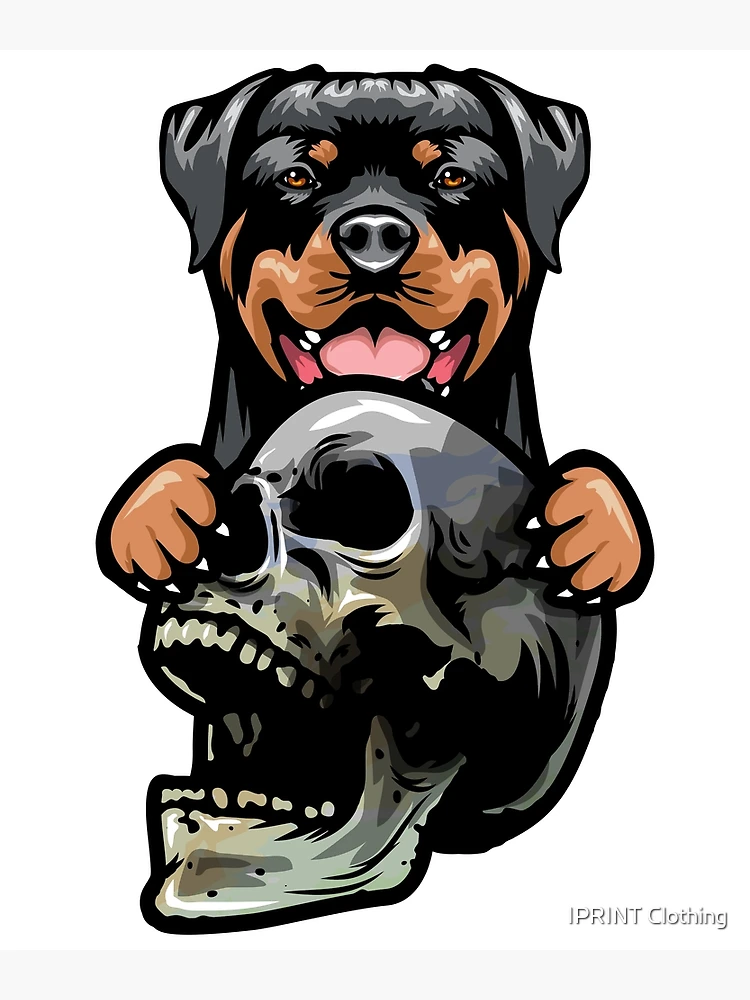 Rottweiler skull fashion