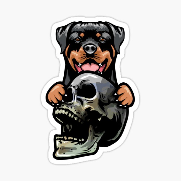 rottweiler skull