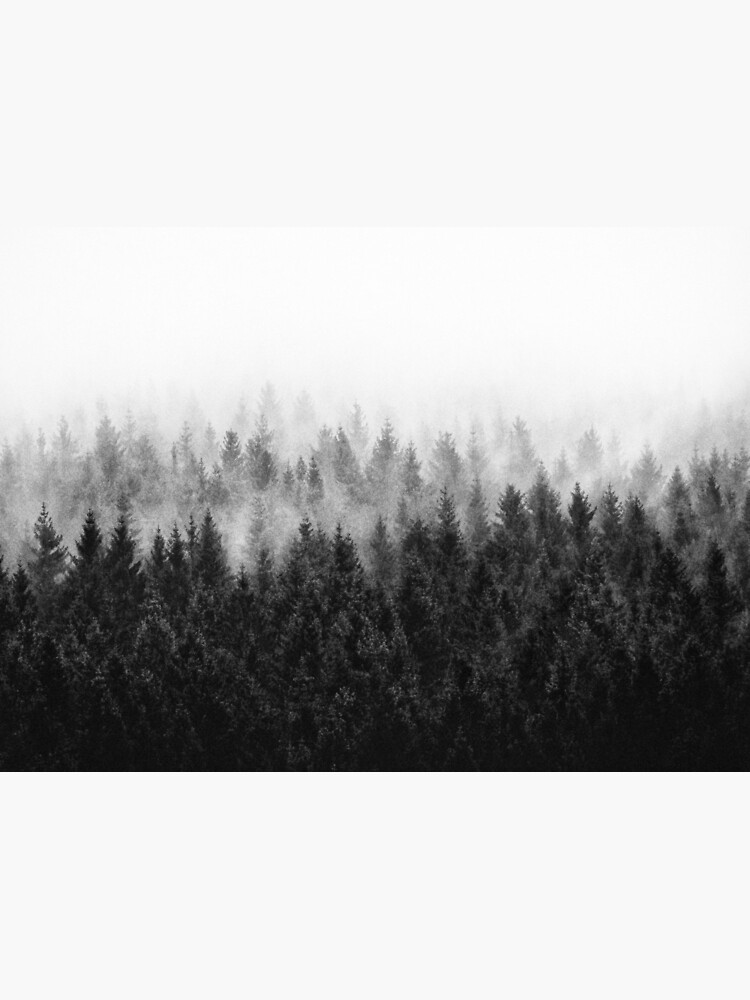 High And Low by tekay