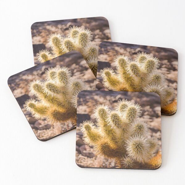 Item preview, Baby Cactus  designed and sold by ZoeyPhotography.