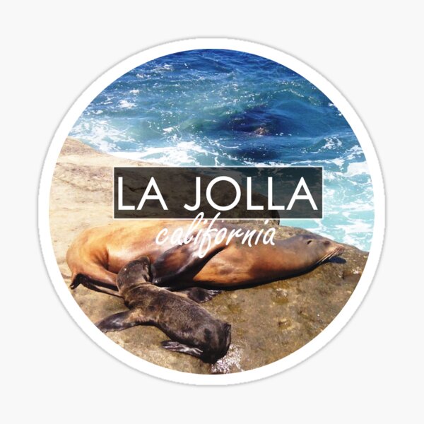 Aperçu de l'œuvre La Jolla San Diego Californie Mère et fille Seal créée et vendue par citrusapple.