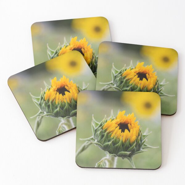 Item preview, Blooming sunflower designed and sold by ZoeyPhotography.