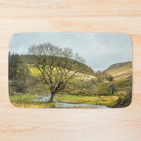 Item preview, Looking up Cwm Crew in the Brecon Beacons National Park Wales. This is winter time hence the leafless tree. designed and sold by Cameranick.