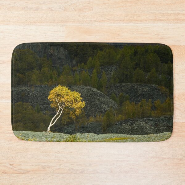 Item preview, Silver Birch in Winter near Hodge Close Slate Quarry in the Lake District National Park designed and sold by Cameranick.