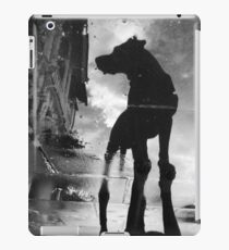 Vinilo o funda para iPad Mi #dog filby reflejado en un charco hoy tomado en mi #galaxynexus