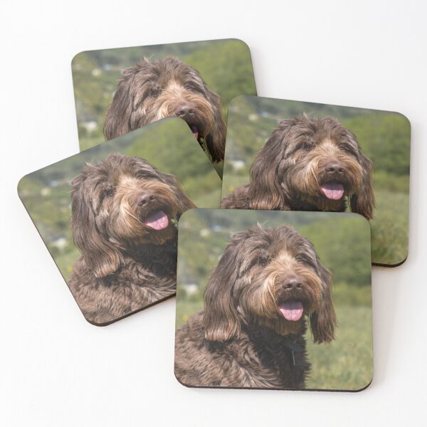Item preview, Chocolate Labradoodle designed and sold by EverydayHermit.