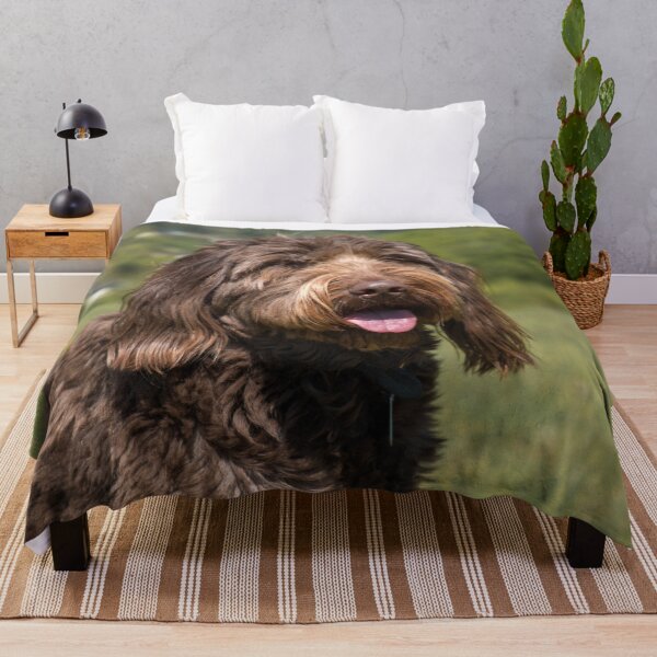 Item preview, Chocolate Labradoodle designed and sold by EverydayHermit.