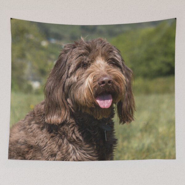 Item preview, Chocolate Labradoodle designed and sold by EverydayHermit.