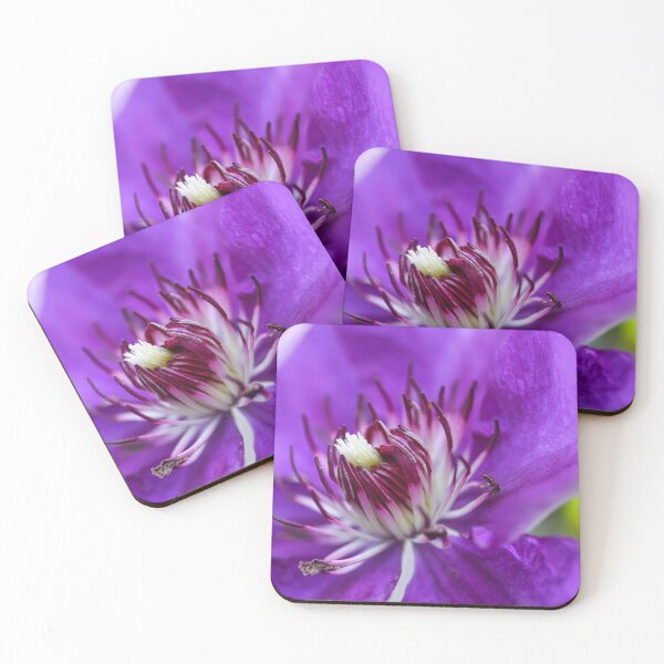 Item preview, Purple close up flower head designed and sold by kestellimagery.