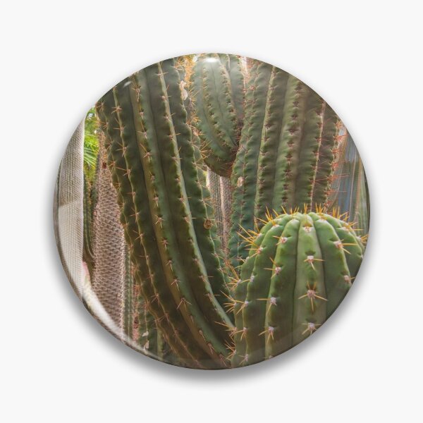 Item preview, Cactus landscape in Majorelle Garden, Morocco designed and sold by mitzobs.