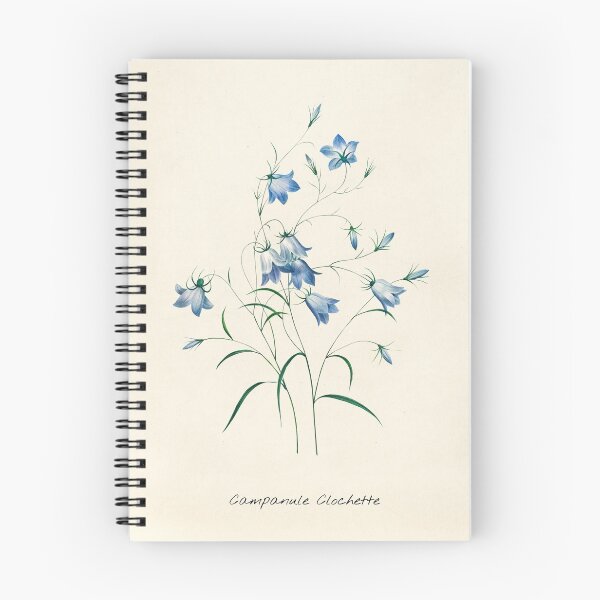 Item preview, Bellflower Campanula Floral Botanical Illustration designed and sold by sky stephens.