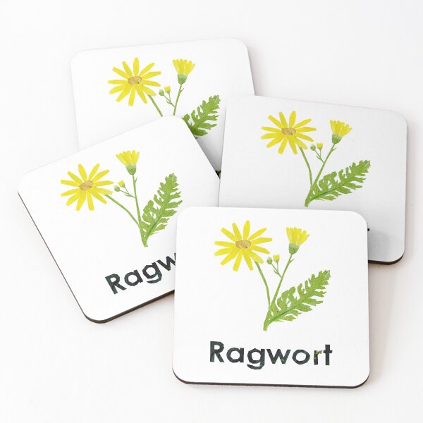Item preview, En - Ragwort designed and sold by BabbanGaelg.