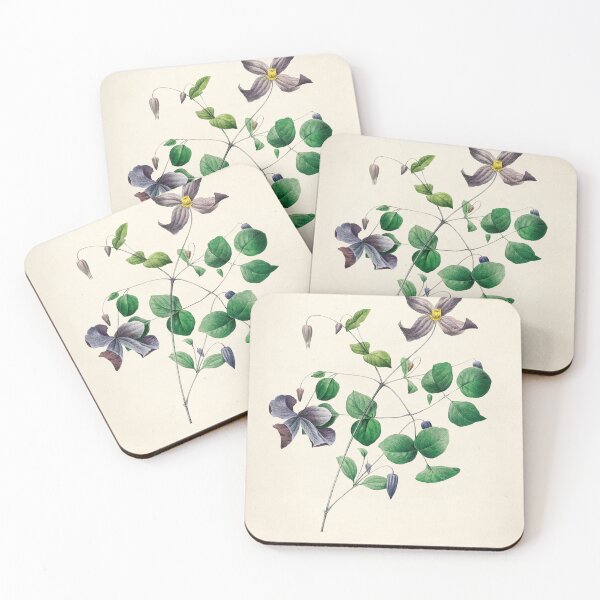 Item preview, Virgin's Bower Floral Botanical Illustration designed and sold by sky stephens.