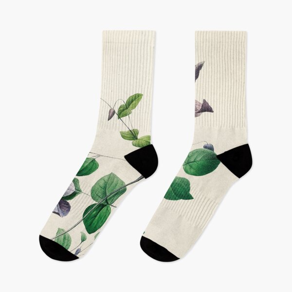 Item preview, Virgin's Bower Floral Botanical Illustration designed and sold by sky stephens.