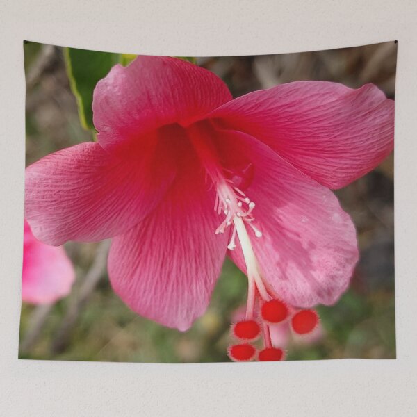 Item preview, Pink Hibiscus Flower designed and sold by MickAndoDesigns.