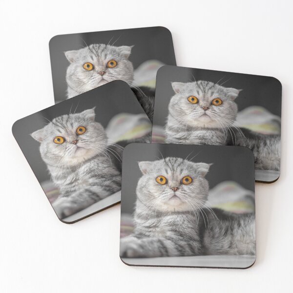 Item preview, Alert Cat designed and sold by wazoosi.