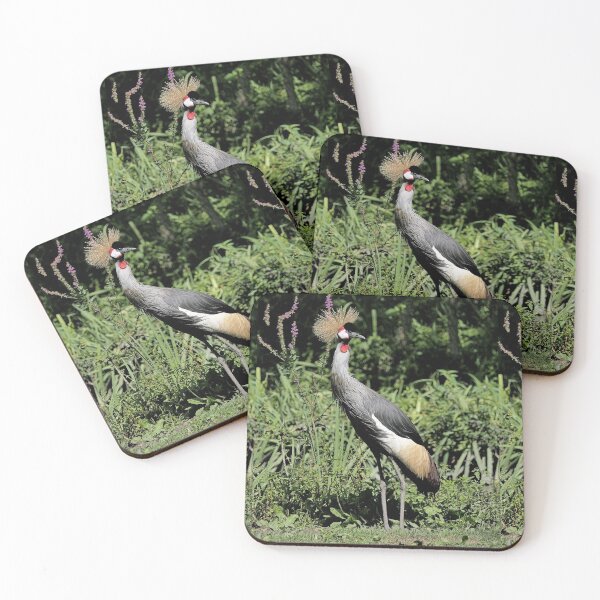 Item preview, r2462/ 16 parc-ornithologique-de-st-hilaire-la-palud - Grues couronnées -  2020 par Okaio Créations - Olavia&Olao designed and sold by o.okaïo.