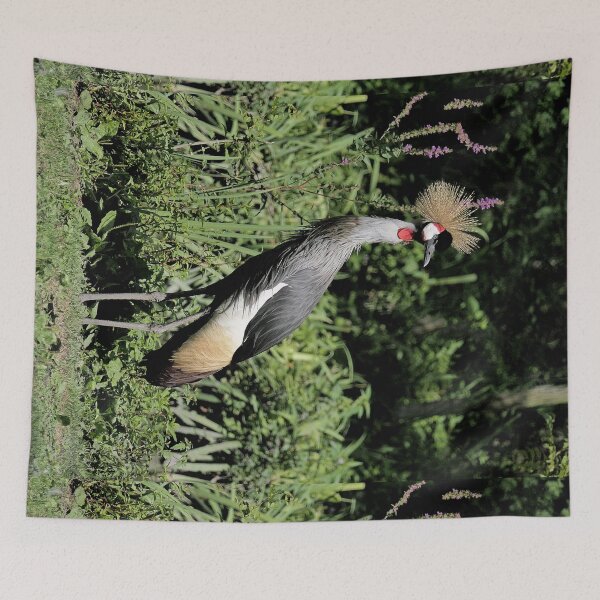 Item preview, r2462/ 16 parc-ornithologique-de-st-hilaire-la-palud - Grues couronnées -  2020 par Okaio Créations - Olavia&Olao designed and sold by o.okaïo.