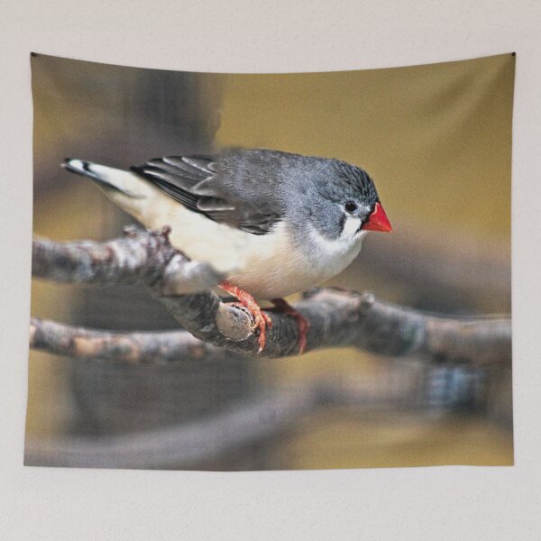Item preview, Grey Waxbill Tropical Exotic Little Bird Perching designed and sold by Anna Lemos.