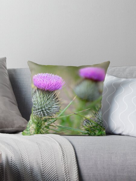 Item preview, Scottish thistles designed and sold by chris148.