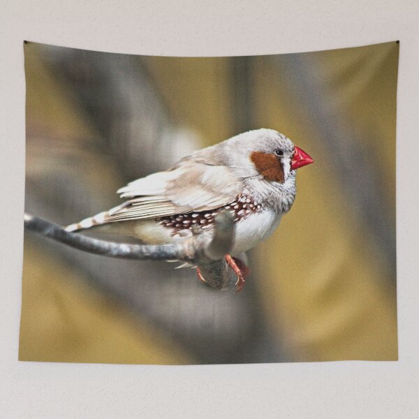 Item preview, Waxbill Tropical Exotic Little Bird Perching designed and sold by Anna Lemos.