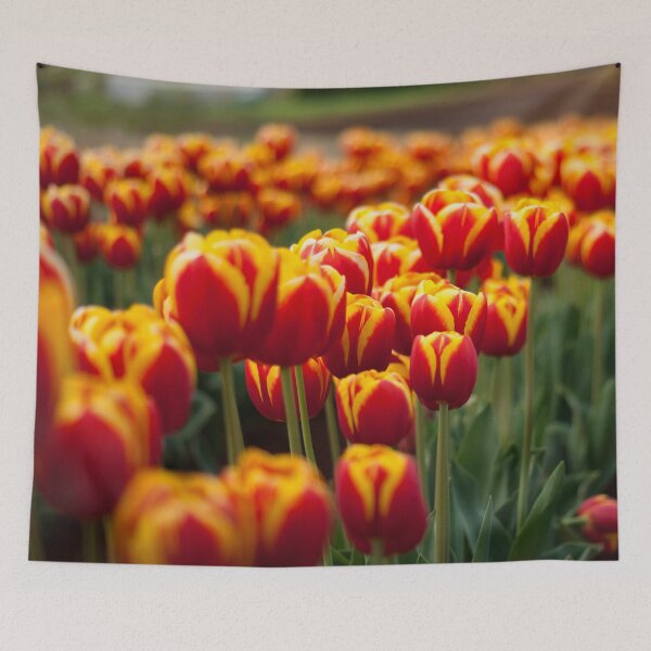 Item preview, Red Yellow Tulips designed and sold by ea-photos.