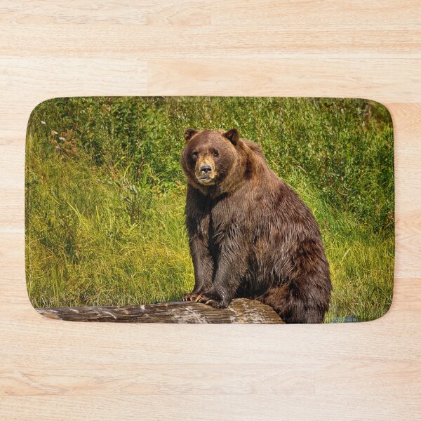 Item preview, Alaska Brown bear designed and sold by Kathy Weaver.