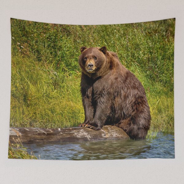 Item preview, Alaska Brown bear designed and sold by Kathy Weaver.