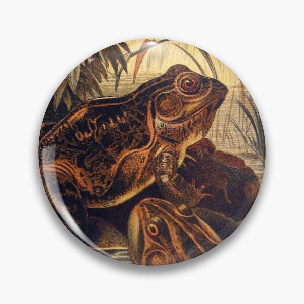 Artikelvorschau, American Bullfrog vintage illustration entworfen und verkauft von Vintage Designs +.
