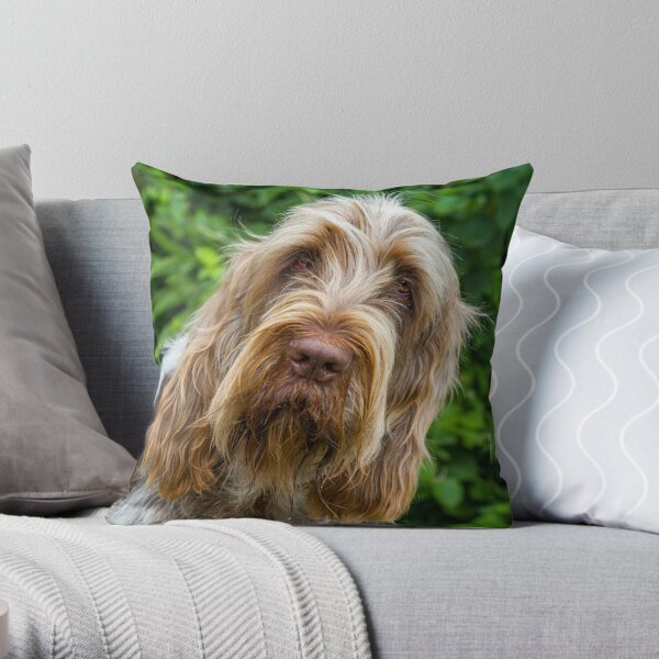 Shades of brown Spinone Throw Pillow