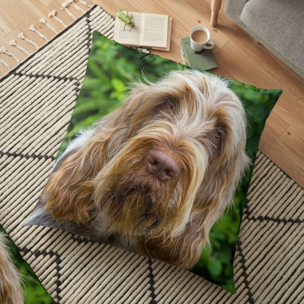 Shades of brown Spinone Floor Pillow