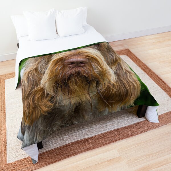 Shades of brown Spinone Comforter