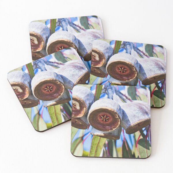 Item preview, Beautiful brown and white gumnuts will brighten your day by Faelee designed and sold by Faelee.