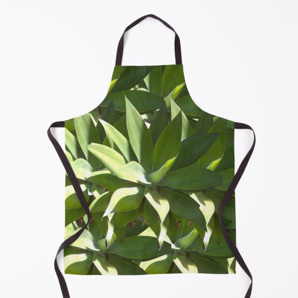 Item preview, Agave plants, en masse. Striking, sculptural, grey green sun lovers. designed and sold by JellyBeenzz.