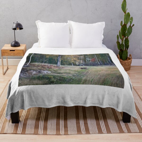 Item preview, On the fields of fall. Virginia deer designed and sold by Jouko Lehto Photography.