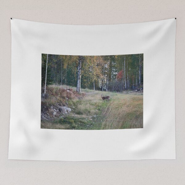 Item preview, On the fields of fall. Virginia deer designed and sold by Jouko Lehto Photography.