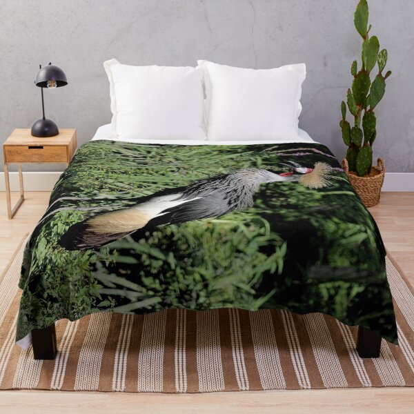 Item preview, r2463/ 17 parc-ornithologique-de-st-hilaire-la-palud - Grues couronnées -  2020 par Okaio Créations - Olavia&Olao designed and sold by o.okaïo.