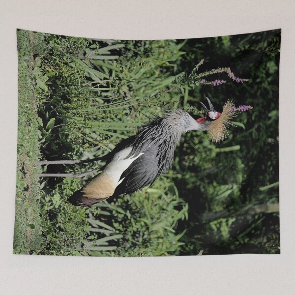 Item preview, r2463/ 17 parc-ornithologique-de-st-hilaire-la-palud - Grues couronnées -  2020 par Okaio Créations - Olavia&Olao designed and sold by o.okaïo.