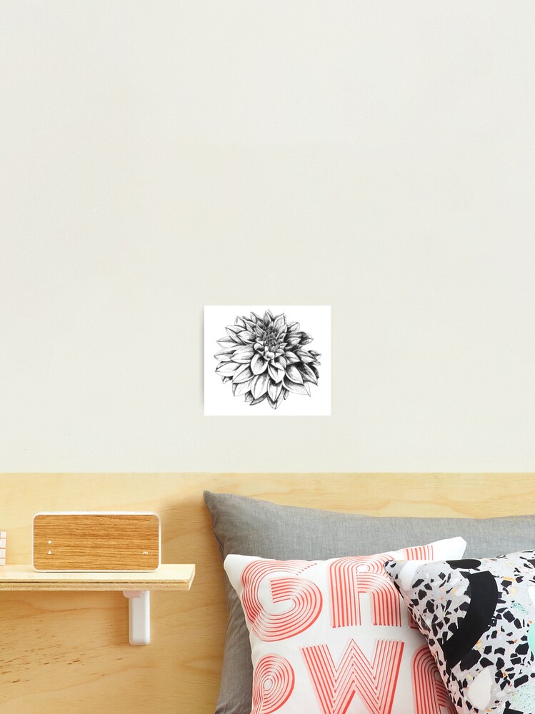 Dahlia sketch in vintage botanical style
