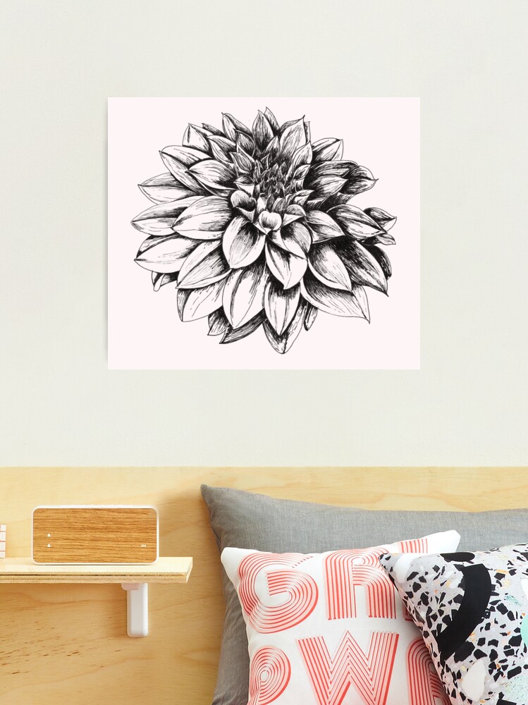 21915-dahlia-200x200.jpg