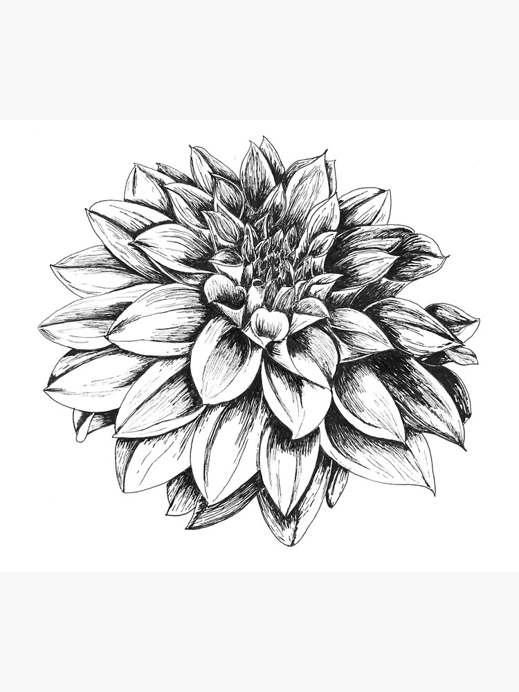 21915-dahlia-1500x1500.jpg