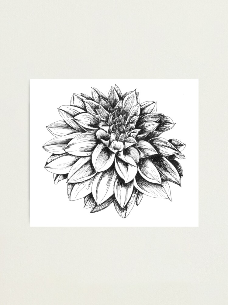 Amazon.com: Vintage Botanical Floral Flower Wall Art Print