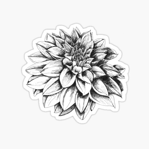 Share more than 58 minimalist dahlia tattoo latest  incdgdbentre