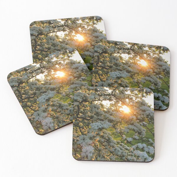 Item preview, Sunset Spring Blossom designed and sold by Vicki Spindler (VHS Photography).