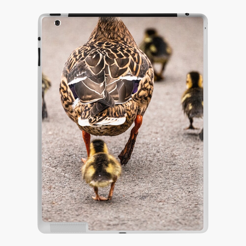 Item preview, iPad Skin designed and sold by AYatesPhoto.
