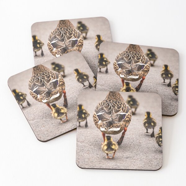 Item preview, The ducklings journey home designed and sold by AYatesPhoto.