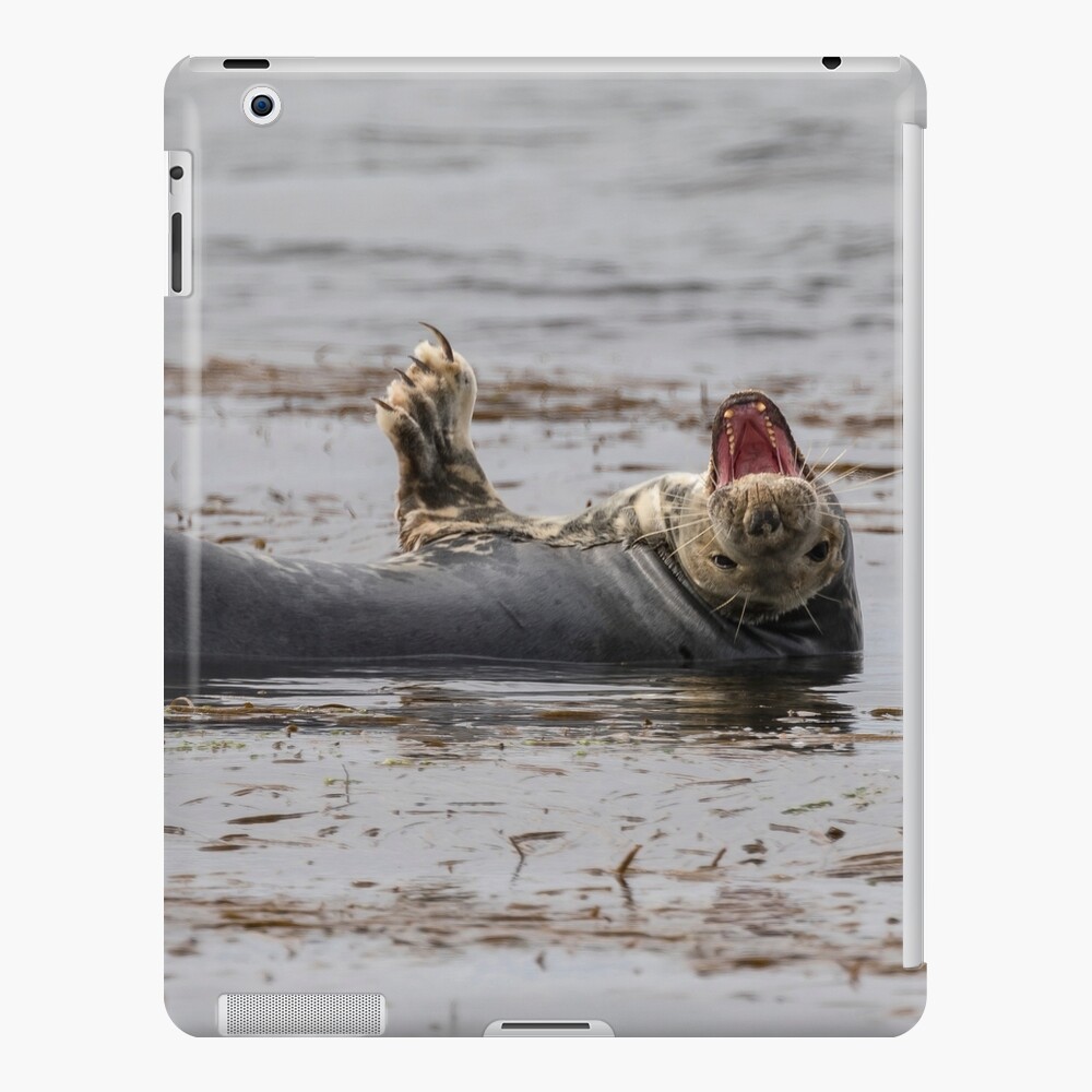 Item preview, iPad Snap Case designed and sold by AYatesPhoto.