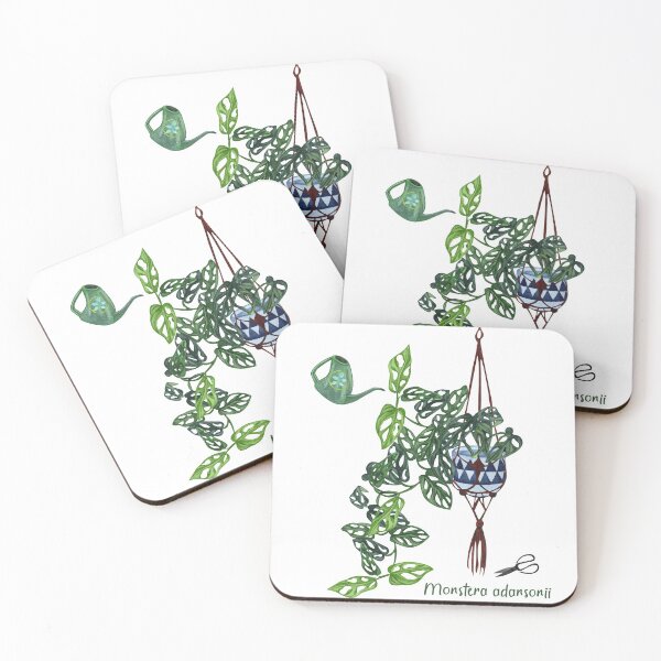 Item preview, Monstera adansonii, Monstera plant designed and sold by nanathaishop.
