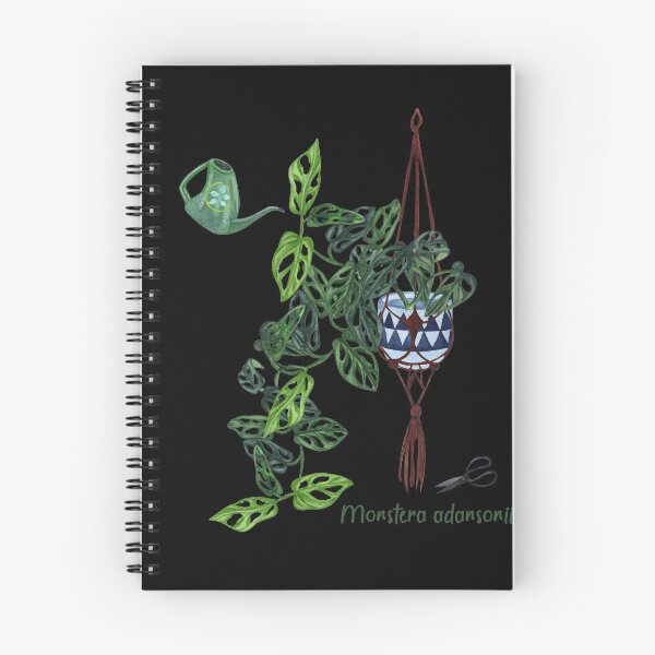 Item preview, Monstera adansonii, Monstera plant designed and sold by nanathaishop.